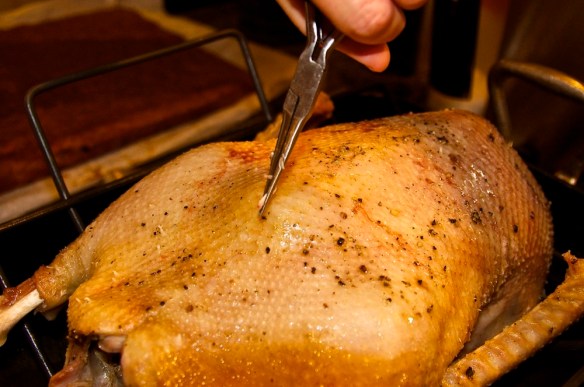 Removing pinfeathers